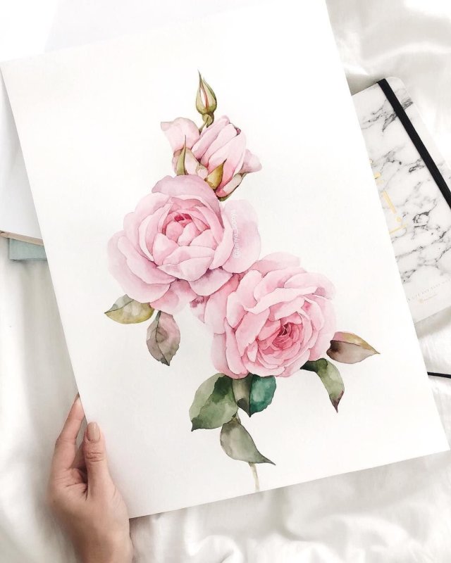 Цветы эскизы цветные