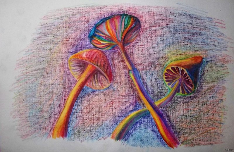 Красивые рисунки цветными карандашами