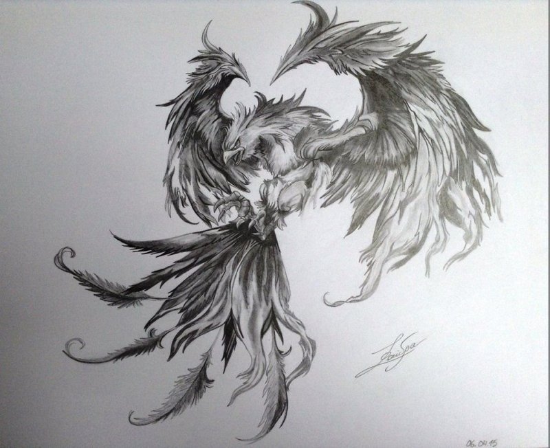 Тату птица Феникс скетч