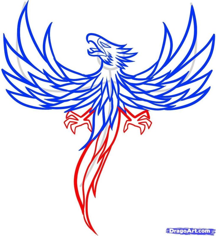 Птица Феникс эскиз