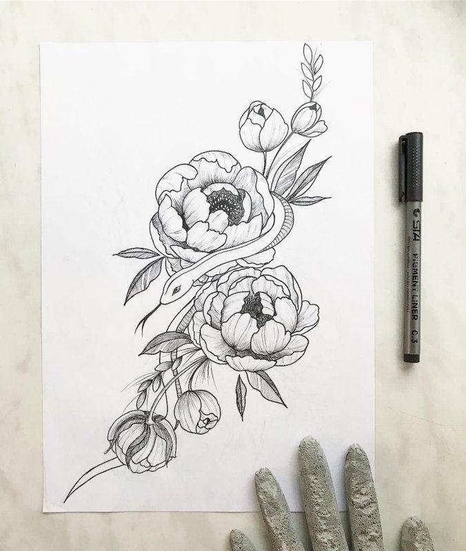 Нежные пионы эскиз тату