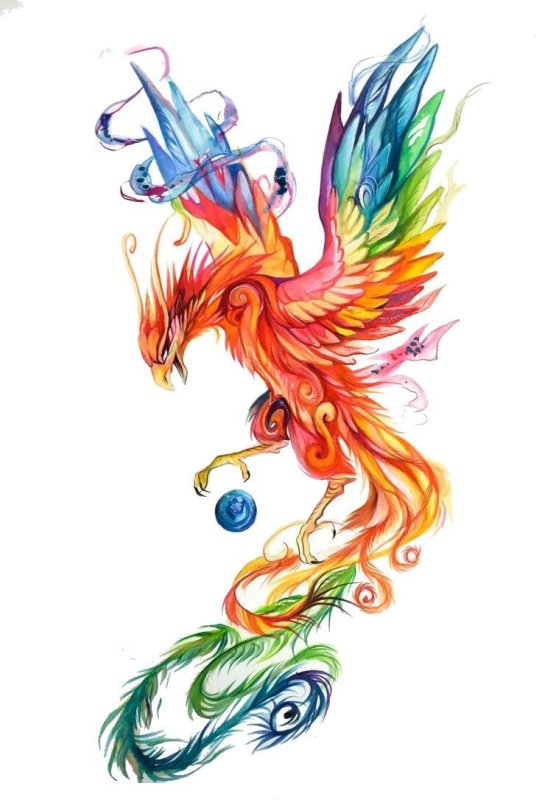 Тату Феникс Кельтский стиль