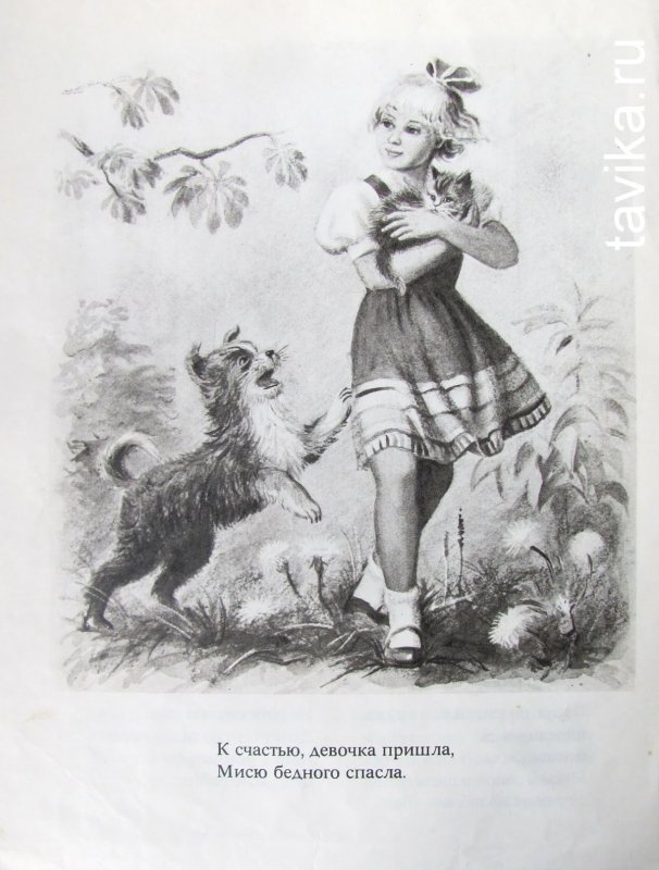 Бордер колли щенки