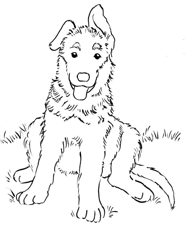 Андреев кусака рисунок к произведению