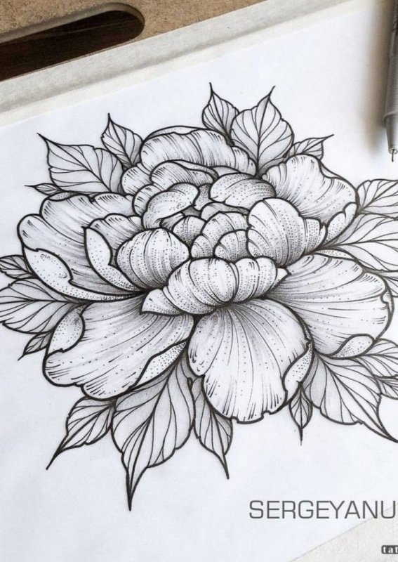 Мандала пион випшейдинг