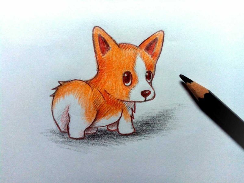 Пикачу для срисовки карандашом