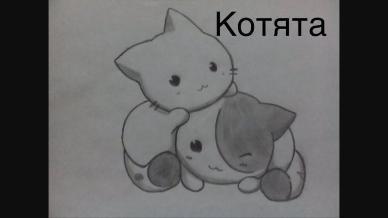 Рисунок котёнка карандашом для срисовки