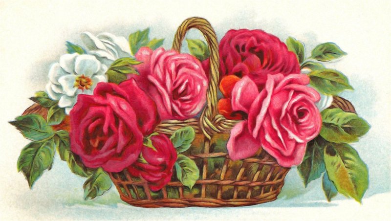 Роза раскраска