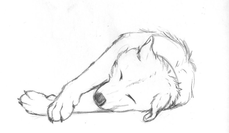 Кусака МЛББ