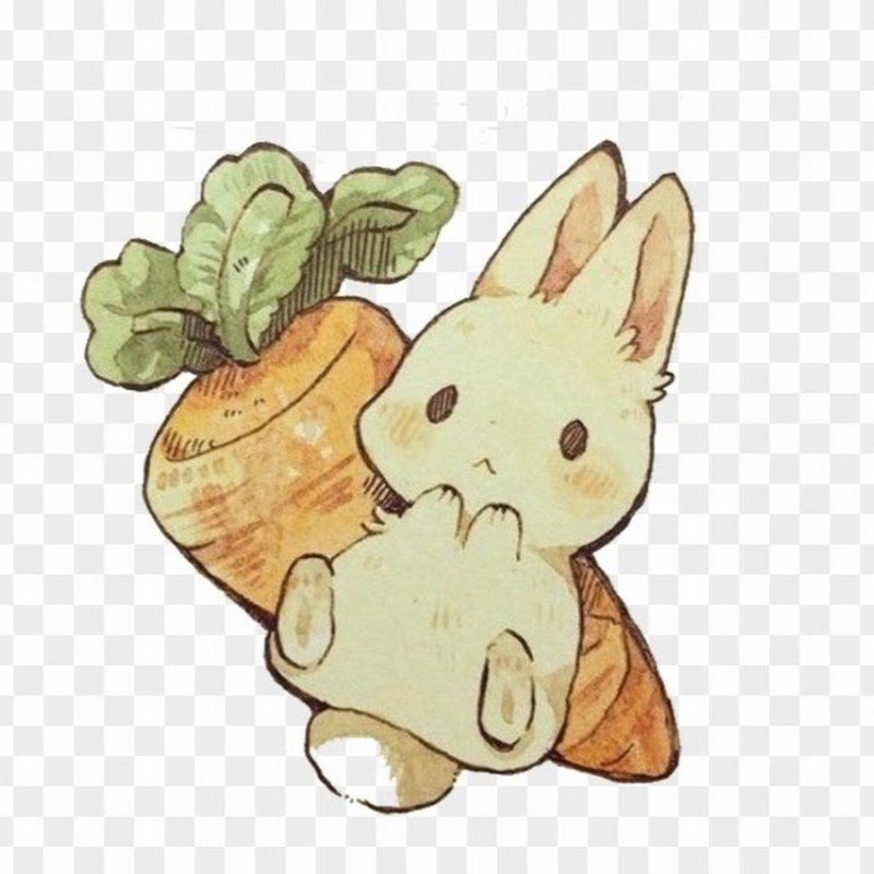 Иллюстрации Марины Федотовой мишки