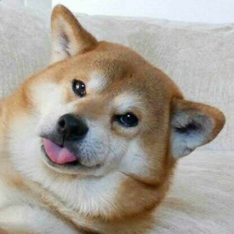 Няшные наклейки