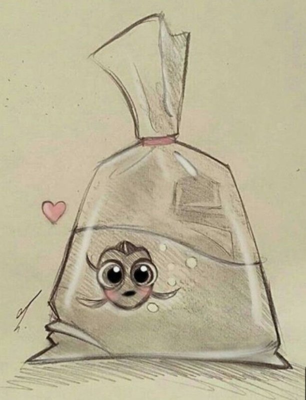 Рисунки для срисовки лёгкие