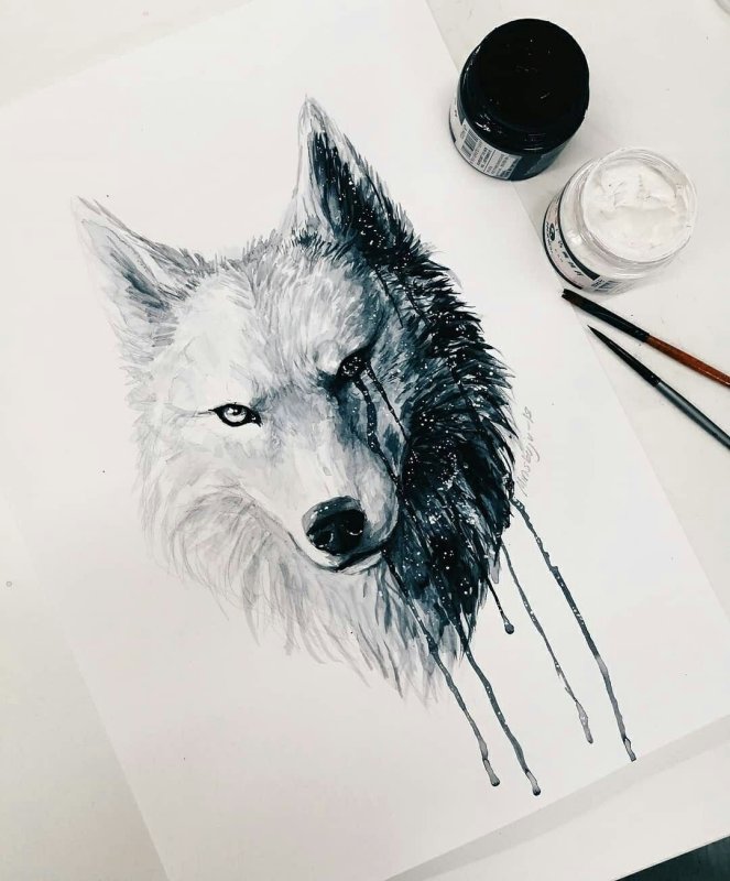 Волк рисунок скетч