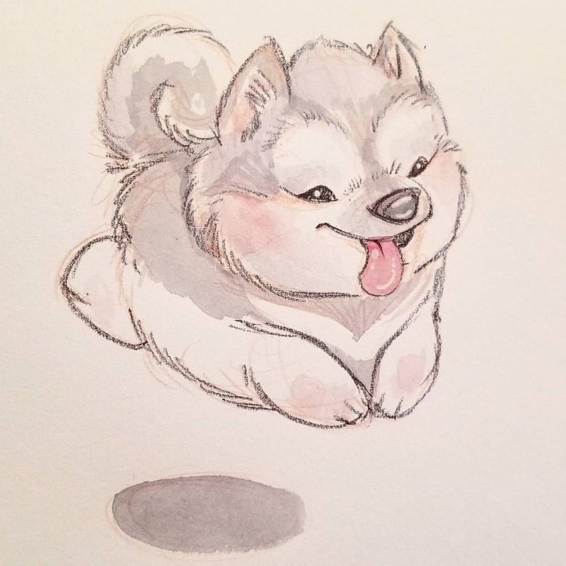 Рисунок волка для срисовки