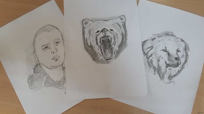 Рисунок к рассказу кусака 3 класс