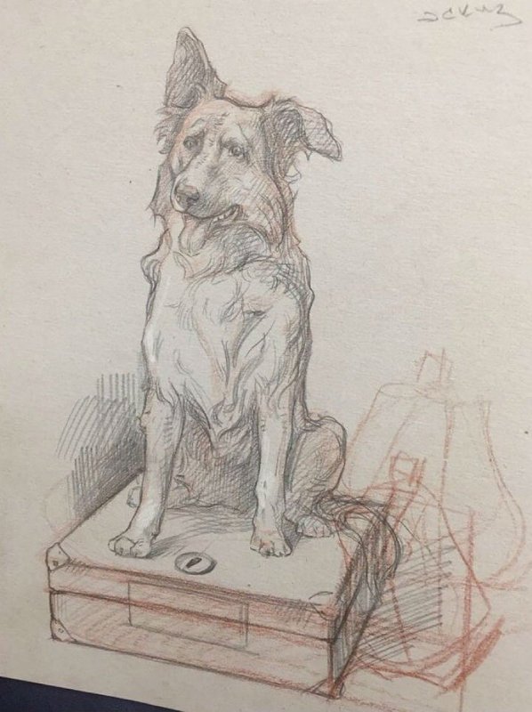 Рисунок к рассказу кусака карандашом