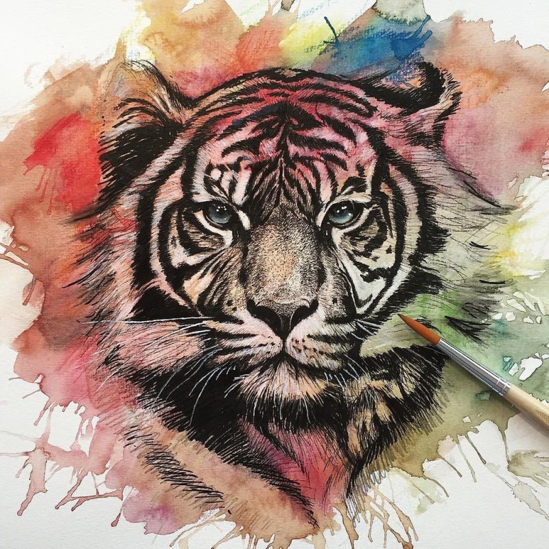 Тигр тату эскиз