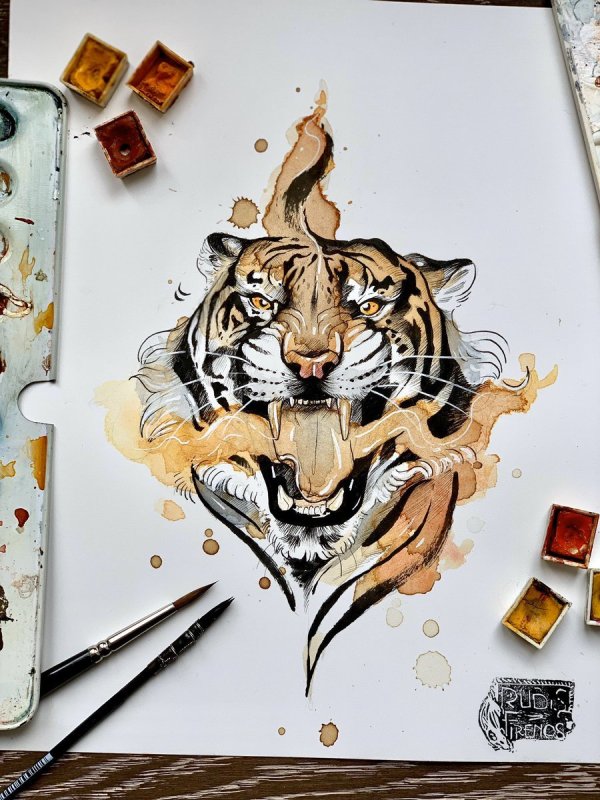 Тигр неотрадишинал