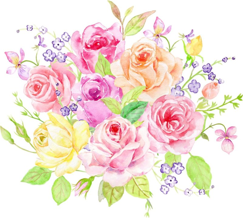 Цветы иллюстрация