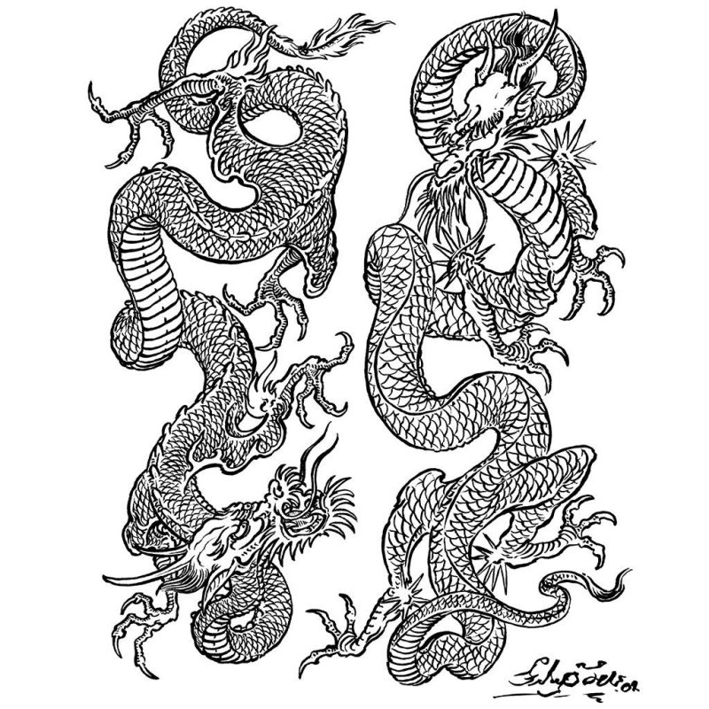 Дракон випшейдинг