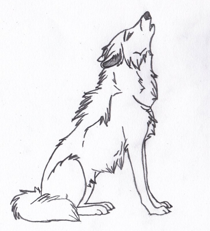 Кусака картинки раскраски