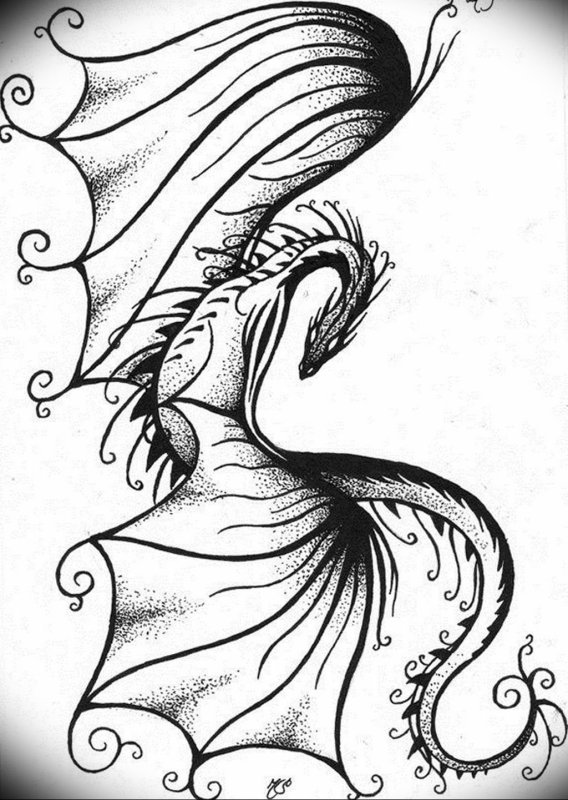 Дракон Хаку эскиз