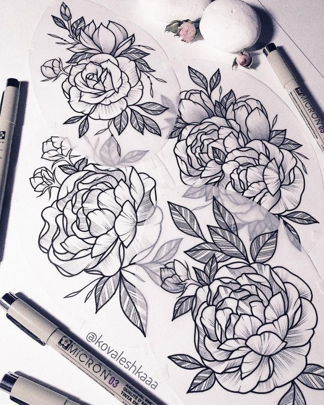 Пионы випшейдинг тату эскизы