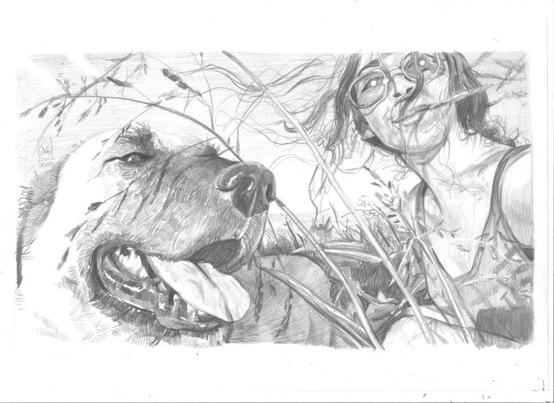 Кусака рисунок карандашом