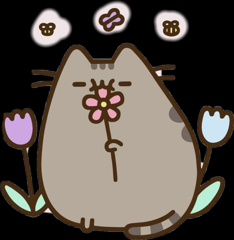 Кавай кот Пушин