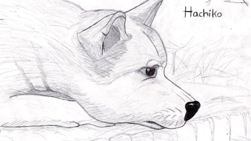 Рисунок к рассказу кусака 3 класс