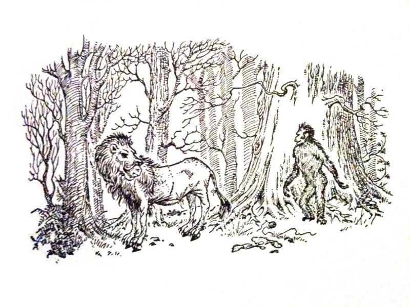 Собака рисунок карандашом