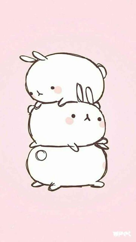 Мордочка кошечки