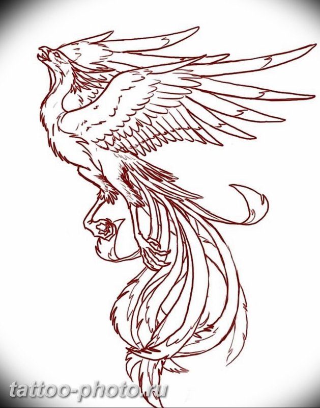 Феникс рисунок карандашом для срисовки