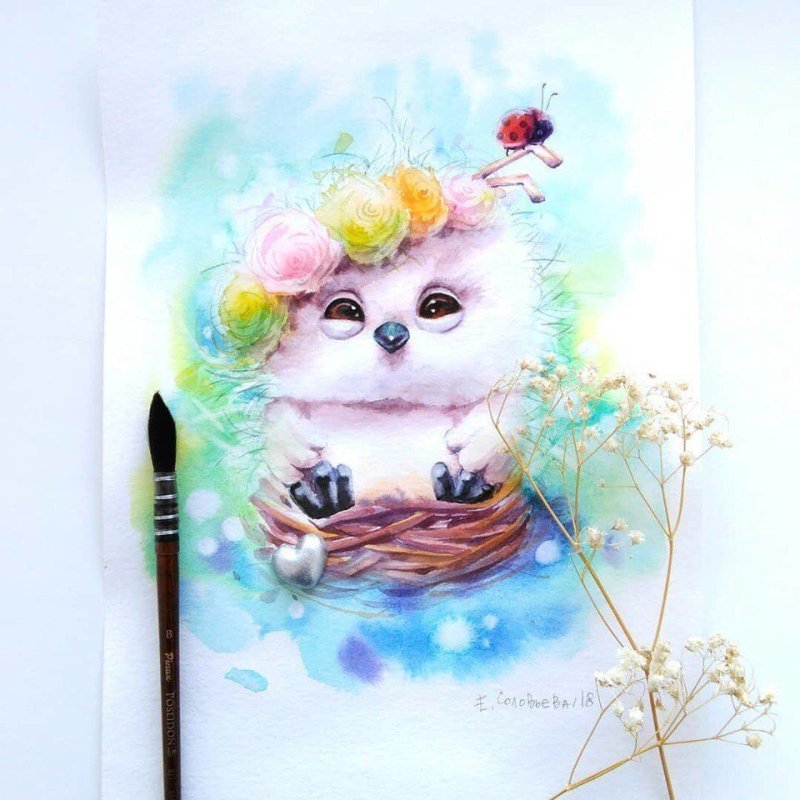 Рисунки для срисовки в цвете