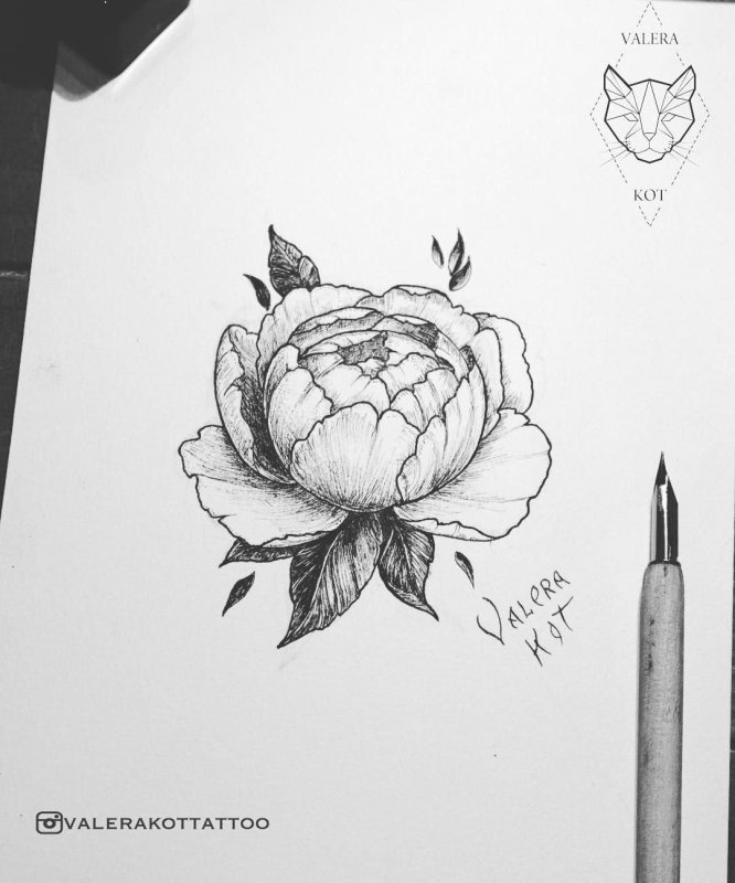 Пионы випшейдинг