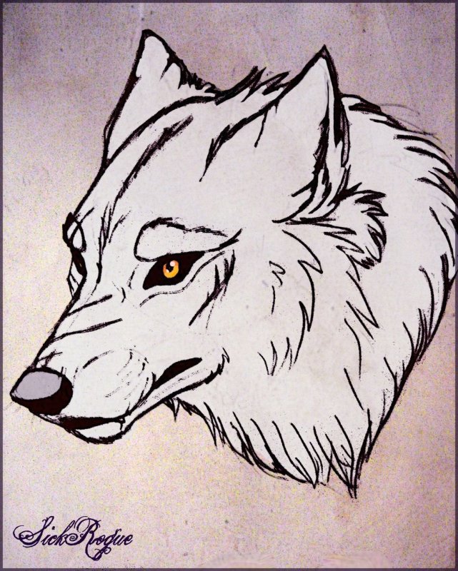 Скетчи волк нежность