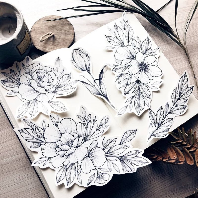 Пионы эскиз