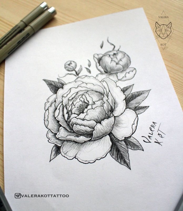 Пионы дотворк