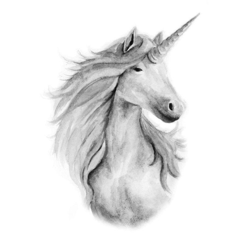 Акварельных Единороги