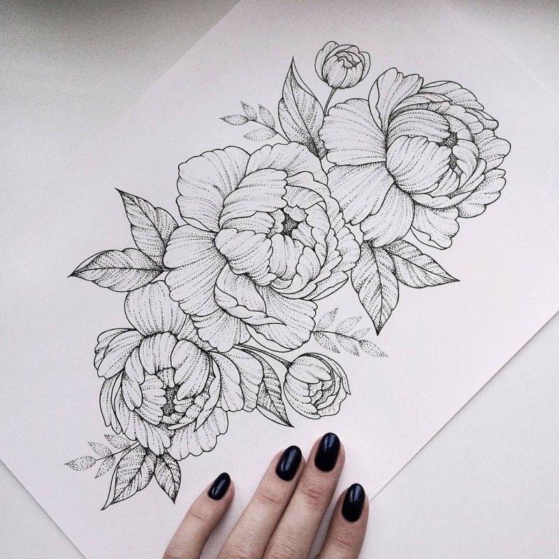 Эскиз тату пионы