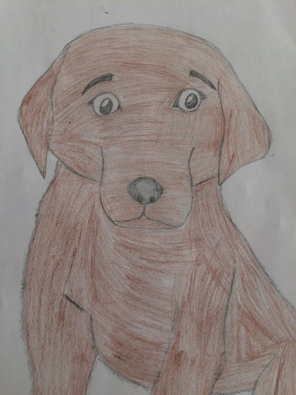 Кусака рисунок карандашом