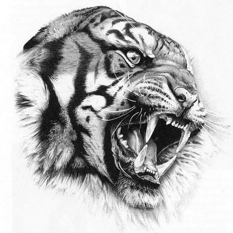 Тату тигр эскиз геометрические