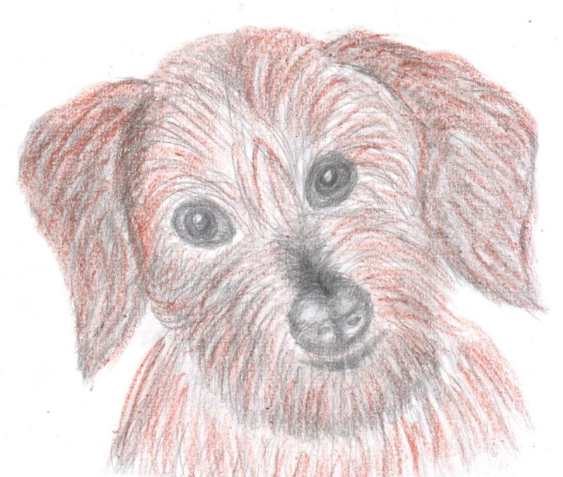 Иллюстрация по Кусаке