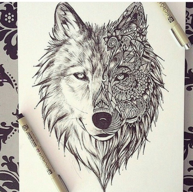 Волк рисунок простой