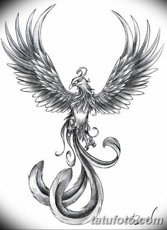 Феникс карандашом