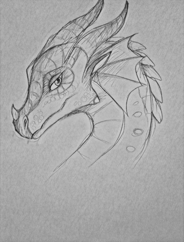 Фото драконов для срисовки