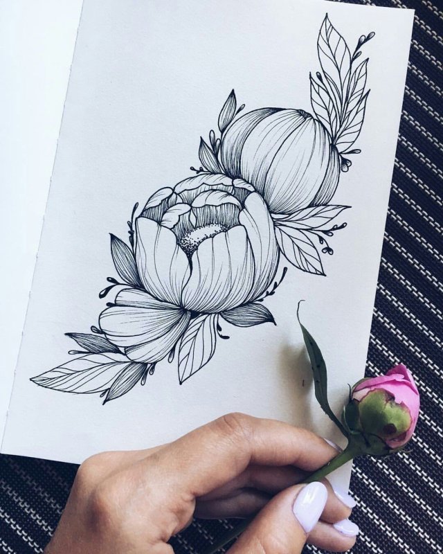 Пионы випшейдинг тату эскизы