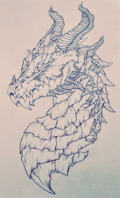 Дракончики для срисовки