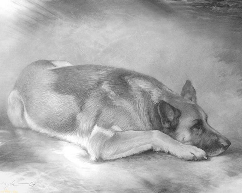 Кусака карандашом