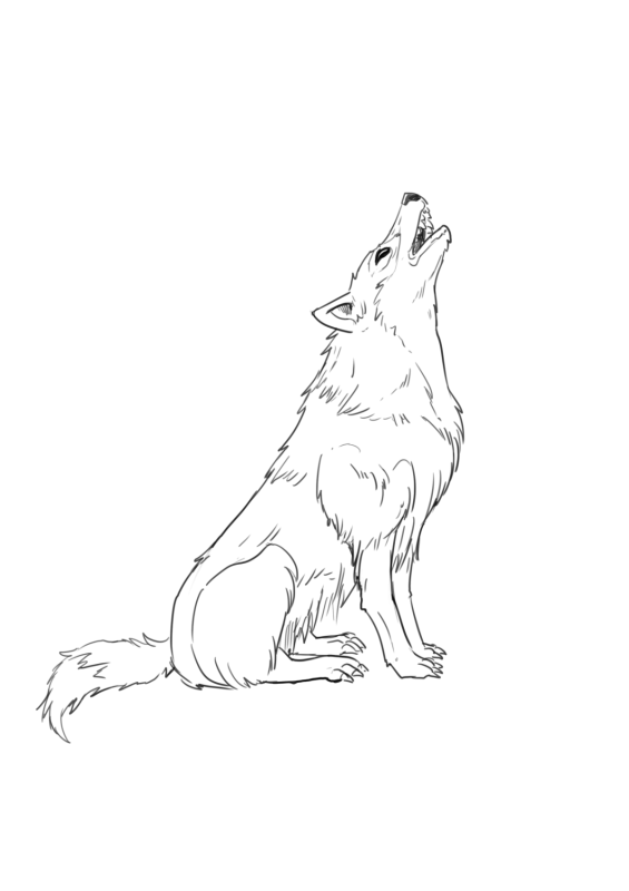 Собака Найда Комсомольск на Амуре